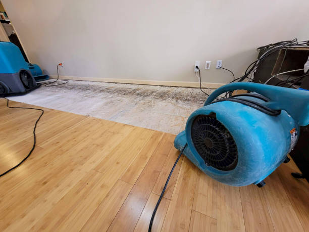 Professional Water Extraction technician working in Mantua, VA